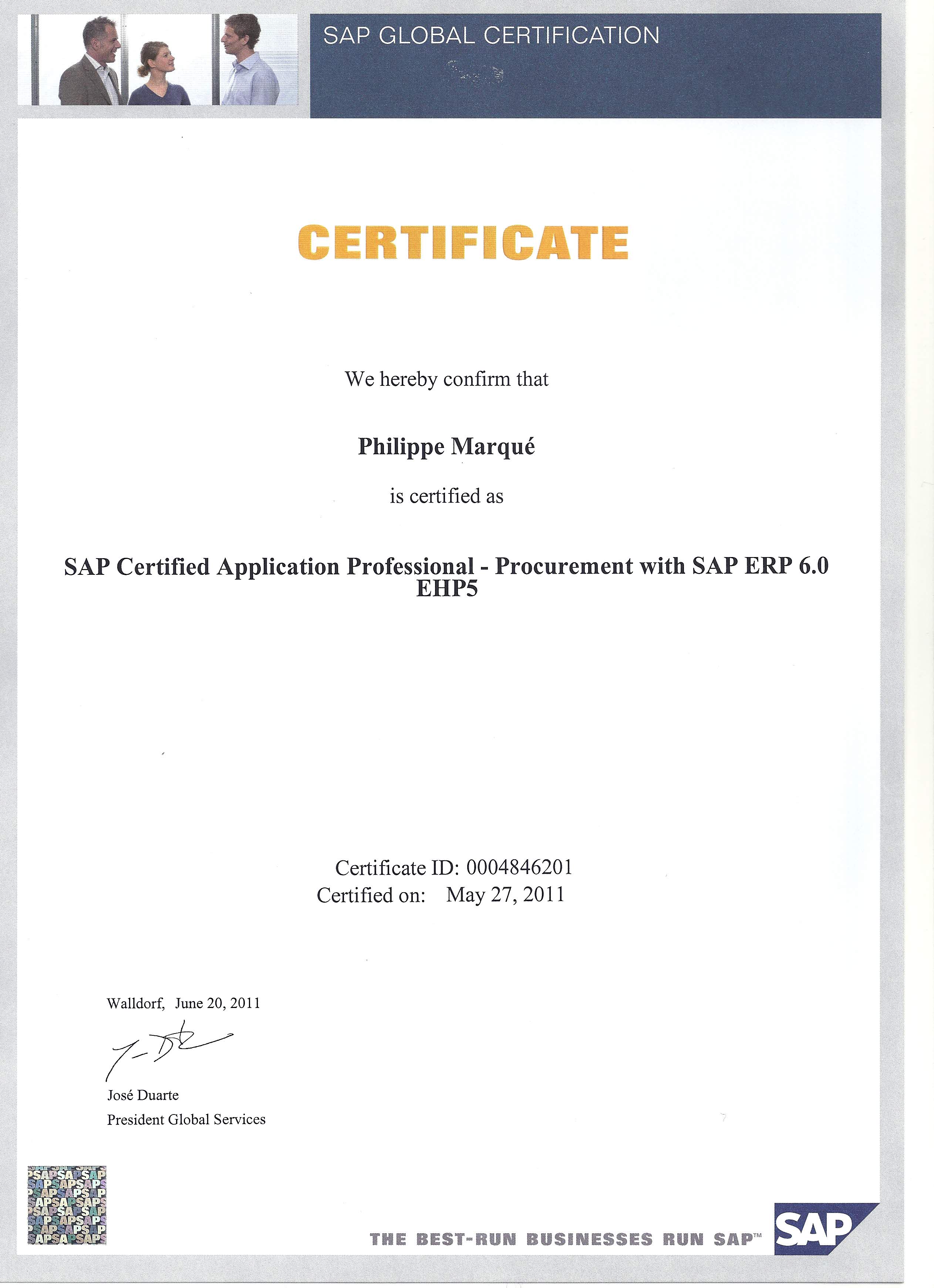 SAP WM, EWM, HUM Consultant - Certified SAP Professionnel WM/LE, MM and ...